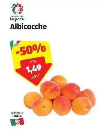 ALDI Albicocche offerta