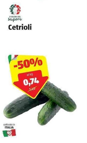 ALDI Cetrioli offerta
