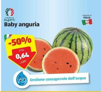 ALDI Baby anguria offerta