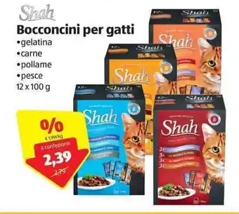 ALDI Shah Bocconcini per gatti 12x100g offerta