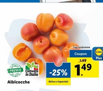 Albicocche