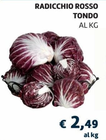 Coop Radicchio Rosso Tondo offerta