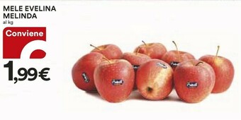 Coop Melinda Mele Golden offerta