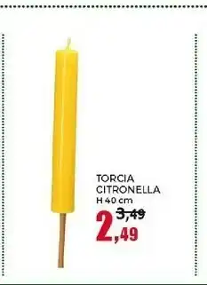 Happy Casa Happy Casa Torcia Citronella offerta