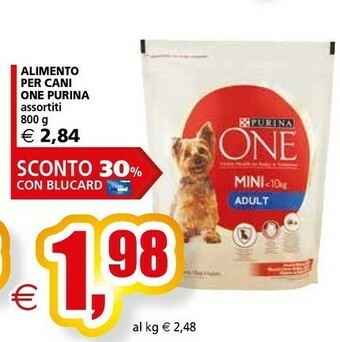 Il Gigante Purina Cibo per cani offerta
