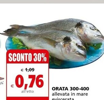 Il Gigante Orata offerta