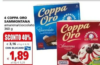 Il Gigante Sammontana Gelato offerta