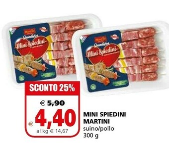 Il Gigante Martini Spiedini offerta