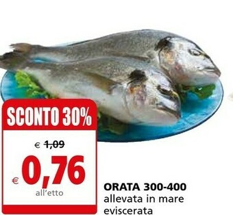 Il Gigante Orata offerta