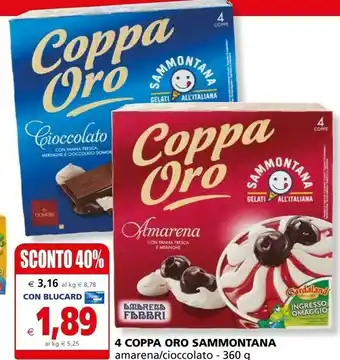 Il Gigante Domori Gelato offerta