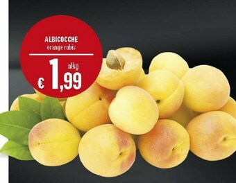 Deco Supermercati Albicocche Orange Rubis offerta