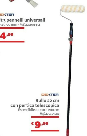 Bricocenter Dexter Rullo 22 Cm Con Pertica Telescopica offerta