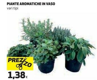 Coop Piante offerta