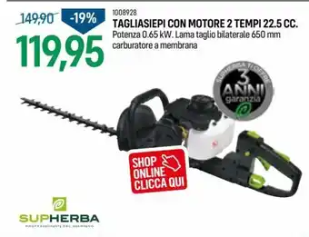 Supherba 1008928 Tagliasiepi Con Motore 2 Tempi 22.5 cc. 650mm