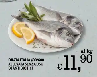 Famila Orata Italia 400/600 Allevata Senza Uso Di Antibiotici offerta