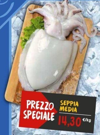 Sapore di Mare Seppia Media offerta