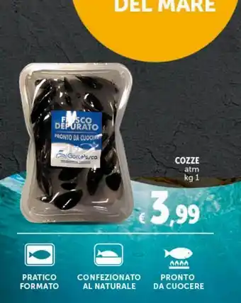 Deco Maxistore Cozze offerta