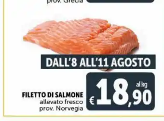 Deco Maxistore Filetto di salmone offerta