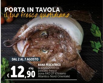 Deco Superstore Rana pescatrice offerta