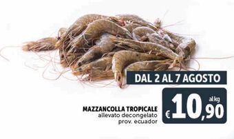 Mazzancolla tropicale