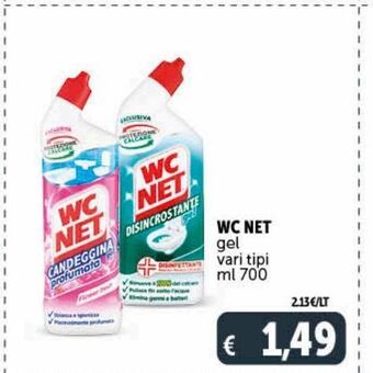Wc net gel vari tipi ml 700
