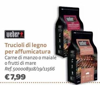 Bricocenter Trucioli di legno per affumicatura offerta