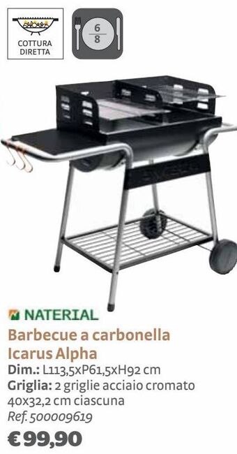 Bricocenter Barbecue a carbonella icarus alpha offerta