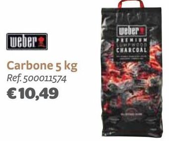 Carbone 5 kg