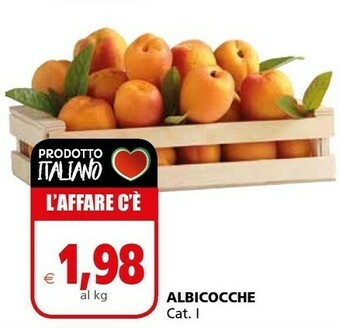 Albicocche