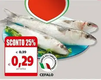 Cefalo