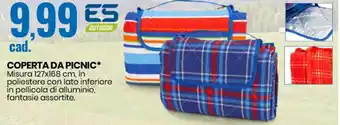 Eurospin Coperta Da Picnic 127x168 cm offerta