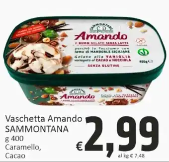 Paghi Poco Sammontana Vaschetta Amando Caramello,Cacao g 400 offerta