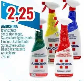 Amuchina Igienizzante senza Risciacquo 750 ml