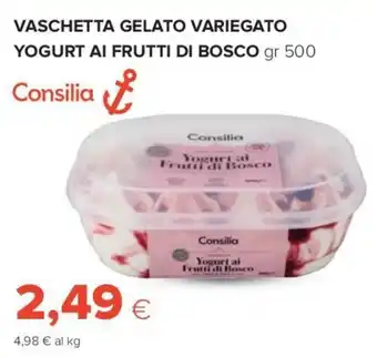 Tigre Consilia Vaschetta Gelato Variegato Yogurt ai Frutti di Bosco gr 500 offerta