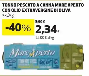 Coop Tonno pescato a canna mare aperto con olio extravergine d'oliva offerta