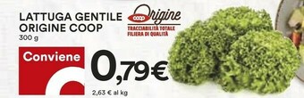 Coop Coop Lattuga Gentile Origine offerta