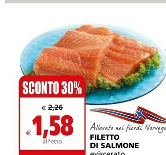 Il Gigante Filetto Di Salmone offerta