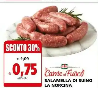 Il Gigante Aia Carne Al Fuoco Salamella Di Suino La Norcina offerta