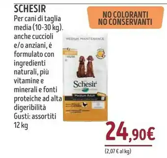 Il Gigante Schesir Per Cani Di Taglia Media 10-30 Kg offerta
