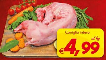 Coniglio Intero