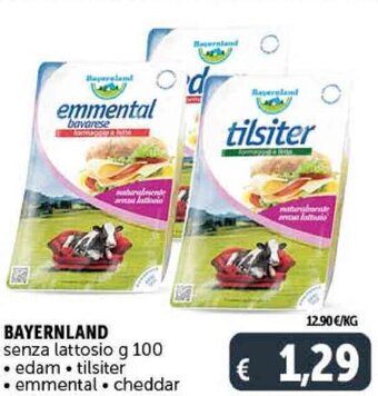 Deco Supermercati Bayernland Senza Lattosio g 100 offerta