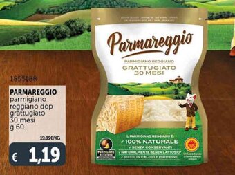 Deco Supermercati Parmareggio Parmigiano Reggiano DOP Grattugiato 30 Mesi g 60 offerta