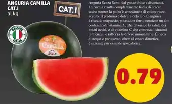 PENNY Anguria Camilla offerta
