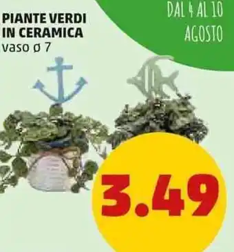 PENNY Piante Verdi in Ceramica offerta