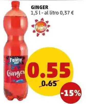 PENNY Ginger 1,5 L offerta