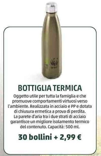 Bottiglia Termica