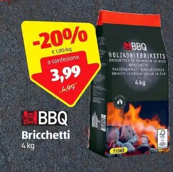 ALDI Bricchette bbq 4 kg offerta
