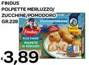 Big Food Findus Polpette Merluzzo/Zucchine/Pomodoro gr.228 offerta