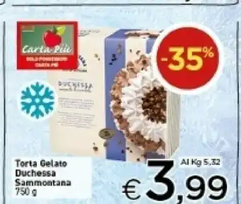 Crai Sammontana Torta gelato offerta