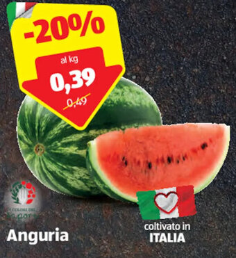 ALDI Anguria offerta